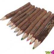 Crayon couleur en bois avec corce, lot 10