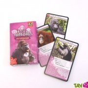 Jeu de cartes "Dfis Nature" : Les primates, 7 ans+