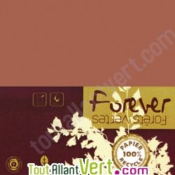 Carte double recycle 111x158 couleur Tabac Forever 210g, x25