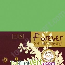 Carte double recycle 111x158 couleur Vert Mousse Forever 210g, x25
