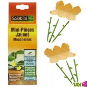 Piges anti-moucherons jaunes pour plantes d'intrieur, Solabiol