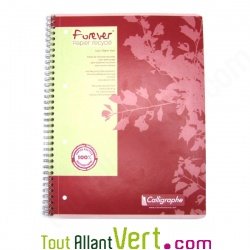 Cahier spirale perfor petits carreaux A4+ 160p 70g Forever