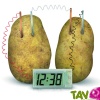 Kit scientifique Horloge fonctionnant  la pomme de terre