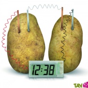 Kit scientifique Horloge fonctionnant  la pomme de terre