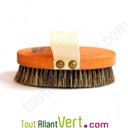 Brosse de massage de luxe en bois, fibre vgtale et crin, 14 cm