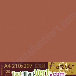 Papier couleur recycle A4 Forever Marron Tabac 160g