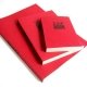 Bloc uni encoll recycl A6 80g 320 pages Rouge srie ZapBook