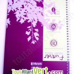 Cahier  spirale recycl petits carreaux A4 96p Violet Forever