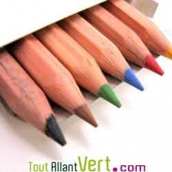 Bote de 6 mini-crayons de couleur en bois naturel