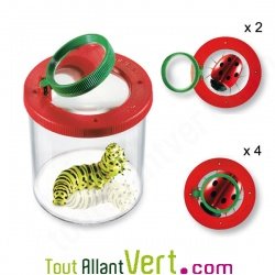 Boite loupe  insectes zoom x4