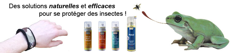Protection naturelles contre les insectes pour l'homme et la maison