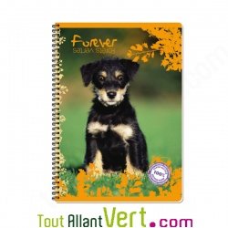 Cahier recycl spirale A4 Grands carreaux 100p 70g animaux