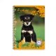 Cahier recycl spirale A4 Grands carreaux 100p 70g animaux