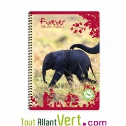 Cahier recycl spirale A4 Grands carreaux 100p 70g animaux