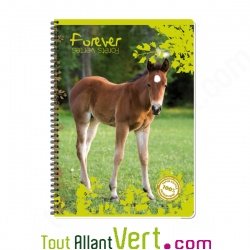 Cahier recycl spirale A4 Grands carreaux 100p 70g animaux