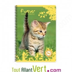Cahier recycl spirale A4 Grands carreaux 100p 70g animaux