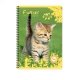 Cahier recycl spirale A4 Grands carreaux 100p 70g animaux