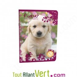 Cahier recycl Grands Carreaux 96p A4 ou 17x22 70g  Forever