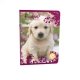 Cahier recycl Grands Carreaux 96p A4 ou 17x22 70g  Forever