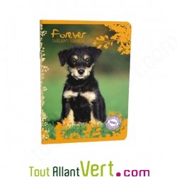 Cahier recycl Grands Carreaux 96p A4 ou 17x22 70g  Forever