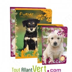 Cahier recycl Grands Carreaux 96p A4 ou 17x22 70g  Forever