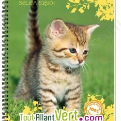 Cahier recycl  spirale A5 70g 100 pages Petits carreaux Chat debout