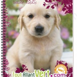 Cahier recycl  spirale A4 70g 100 pages Grands carreaux Chiot blanc