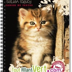Cahier de textes scolaire recycl  spirale Forever 70g 148p Chat assis