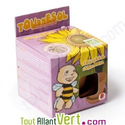 Pot terre cuite enfant Tournesol nain + terreau et graines, 12 cm