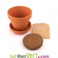 Pot terre cuite enfant Tournesol nain + terreau et graines, 12 cm