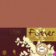 Carte double recyclée 111x158 couleur Tabac Forever 210g, x25