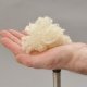 Oreiller en laine vierge bio, 40 x 60 cm et housse en coton biologique Mille Oreillers