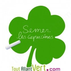 Sticker ardoise feuilles de trfle, matire vgtale et colle sans solvant