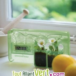 Horloge eau ou terre humide transparente dcorative, 4M2U