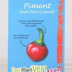 Graines bio Piment boule Red Cherry AB