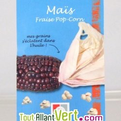 Graines bio Maïs Fraise Pop-Corn AB