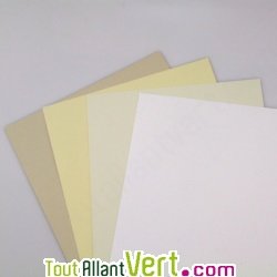 Papier recycl couleur Miel pour carte de visite, 250g