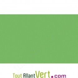 Cartes simples recyclées 82x128 Vert Forever 210g, lot 25