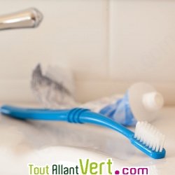 Brosse à dent recyclé Violet Ultra Soft Preserve