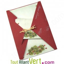 Papier  lettre Coccinelles et enveloppes assorties 100% recycl