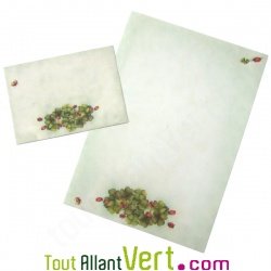 Papier  lettre Coccinelles et enveloppes assorties 100% recycl