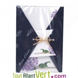 Papier  lettre et enveloppes Bleuet 100% recycl