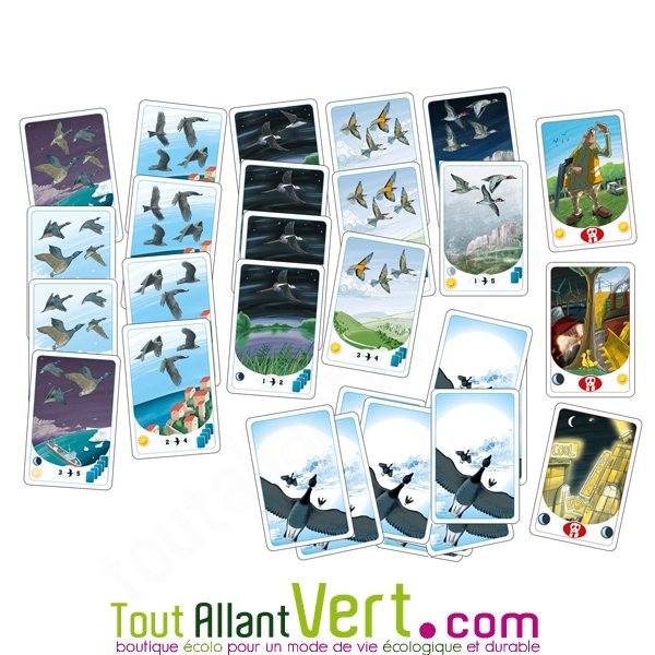 Jeu En Duo De Cartes Migrato Sur Les Oiseaux Migrateurs 9