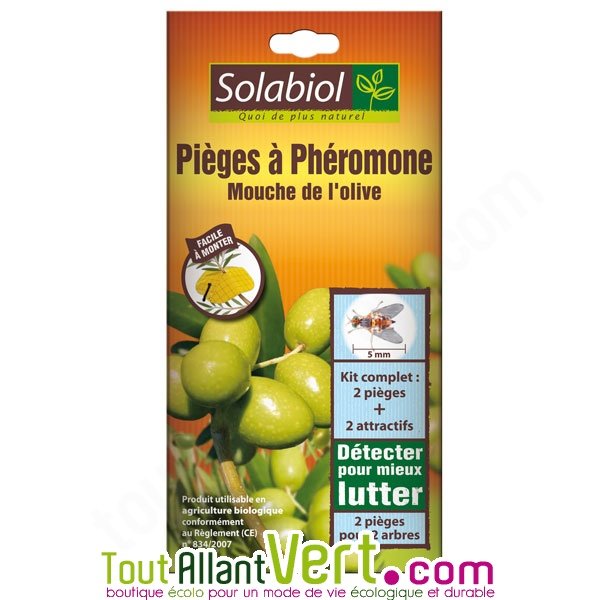 Piège à phéromone pour mouches des fruits (olive, cerise, méditerranéenne)