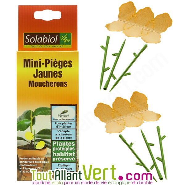 Solabiol - Mini Piège jaune moucherons pour plantes d'intérieur.