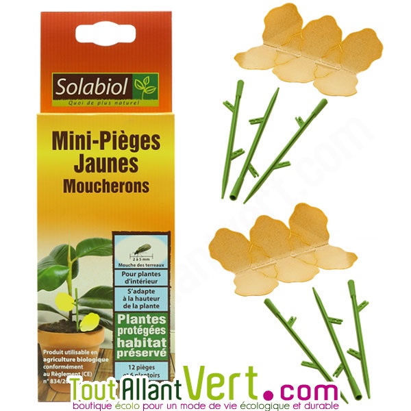 Mini-pièges jaune Moucherons du terreau - Soins des plantes/Répulsifs  insectes et maladies des plantes - La Jardinerie de Pessicart