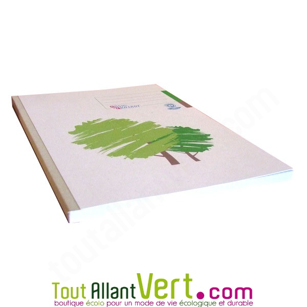 Cahier A4 120 pages petits carreaux couverture plastique vert