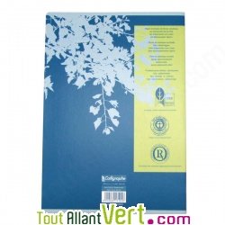 Cahier recyclé Petits carreaux A4 96p Bleu Forever