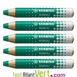 Crayon marqueur effaable Vert pour tableau blanc et ardoise, lot de 5