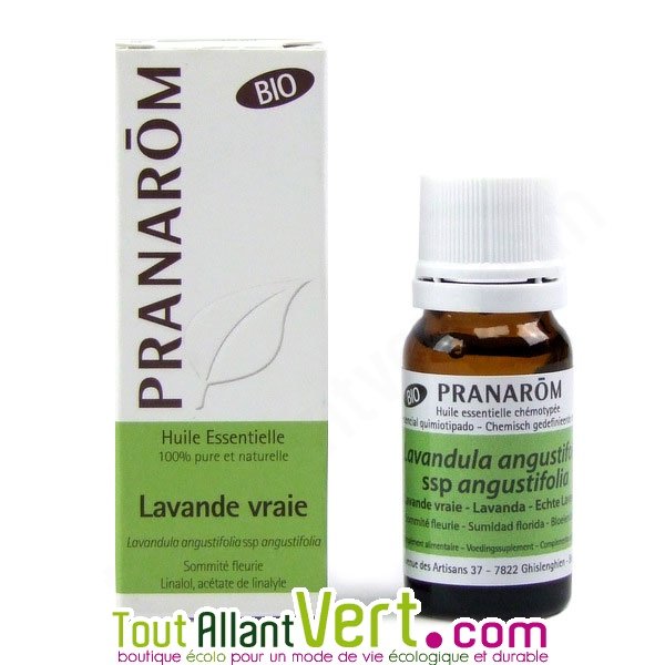 Lavande vraie Bio (Lavandula angustifolia) - Pranarôm.